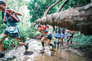 BIB: 
                            <button type="button" onclick="openModal(25372671)" class="btn btn-primary btn-sm float-right btn-popup" data-toggle="modal" data-target=".modal-high-quality">
                        <i class="fas fa-shopping-cart"></i> Add to Cart
                    </button>
                                            <button type="button" onclick="isThisMe(25372671, true)" class="btn btn-success btn-sm float-right btn-popup btn-isme hidden" data-toggle="tooltip" data-placement="bottom" title="นี่คือรูปของคุณใช่ไหม คลิกที่นี่เพื่อเอาเข้าอัลบั้ม">
                        <i class="fas fa-plus"></i> Add to album
                    </button>
                    <button type="button" onclick="isThisMe(25372671, false)" class="btn btn-warning btn-sm float-right btn-popup btn-isnotme hidden">
                        <i class="fas fa-ban"></i> Remove from album
                    </button>